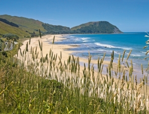 Gisborne Beach 2